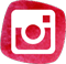 Instagram Button | Blog Waldorfshop